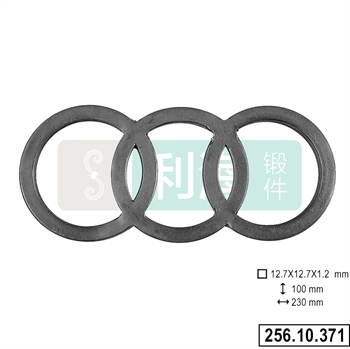 256.10.371的图片