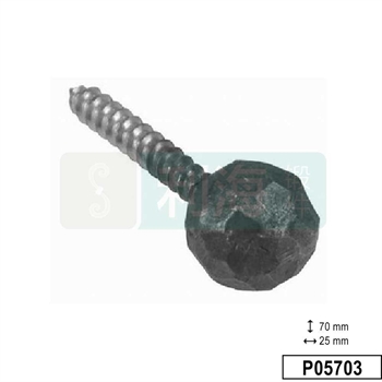 P05703的图片