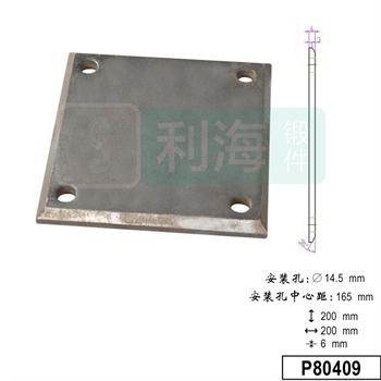 P80409的图片