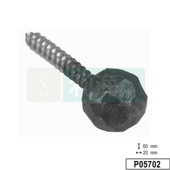P05702的图片